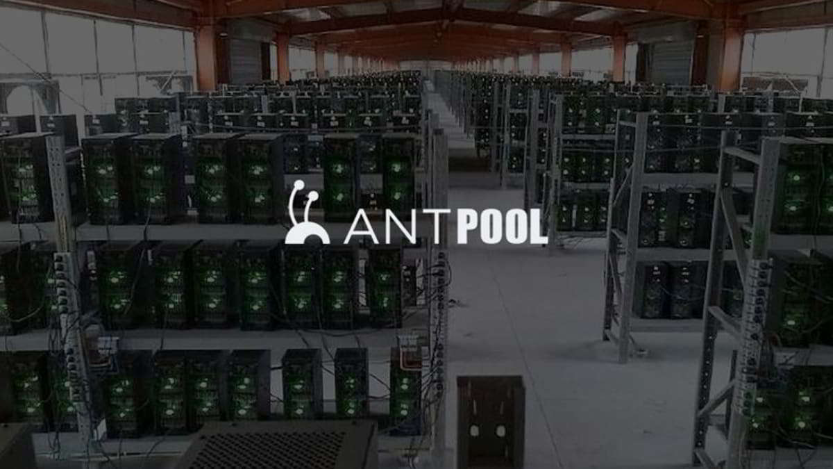 استخر انت پول (antpool) | آریالند